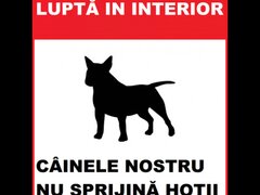 Placuta atentie caine de lupta in interior